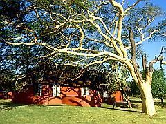 Zululand Safari Lodge At Ubizane Durban Extérieur photo
